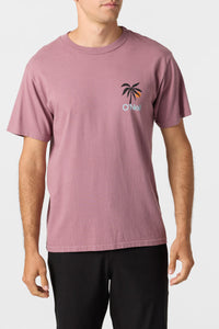 O'Neill Men's Dusk Tee